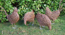 Hens as Garden Ornaments